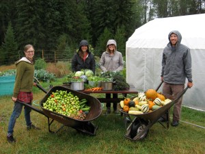 Photo taken by Leah Swartz.  Students harvest produce and serve dinner to over 30 community members.  From left to right: Laura Arvidson (Northwest Connections), Madeline Rubida (University of Montana), Chloe Bates (University of Vermont), Cody Dems (University of Montana)