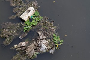 There are islands of trash floating down the rivers through Pune.