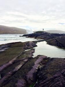 1958048_869605933057025_1900567651827558385_n