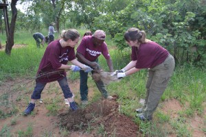 Tree planting at Kikoti camp for the future elephant orphan release site