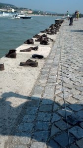 IMG_20150701_095513_503