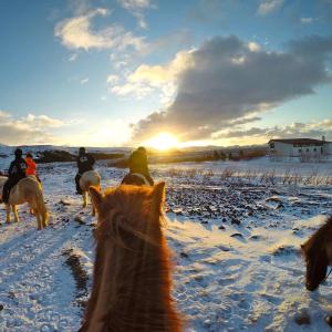 10968360_10205694940040333_7490366189769590867_n