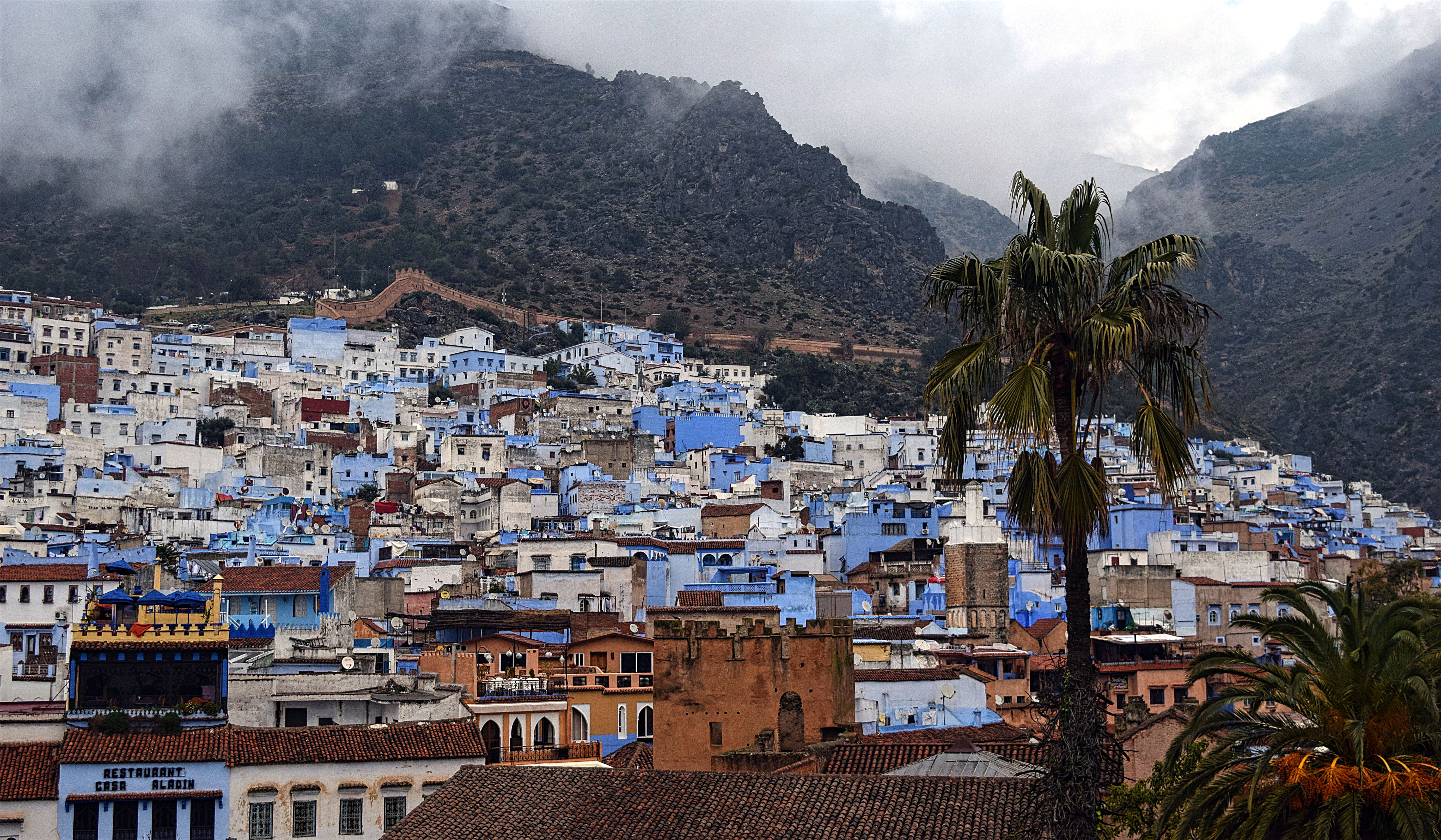 NSmith_blue-city-in-the-rain1