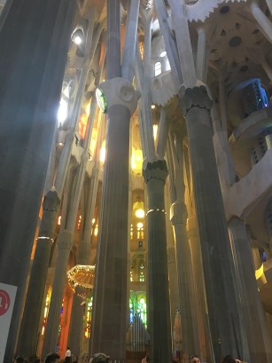 36206973-16A3-4305-A6EA-9CABE9577382