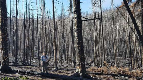 39402053_222921421730305_8949231300917592064_n