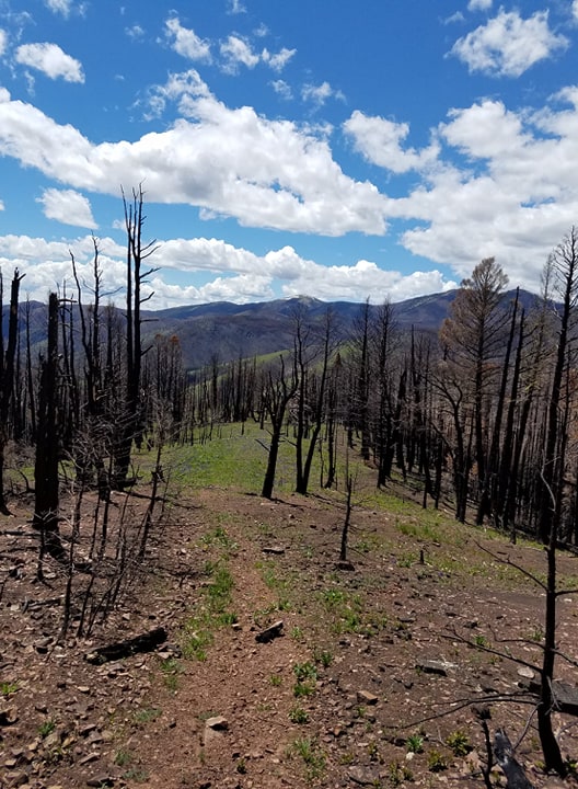 39515360_1997903856897890_191056118309453824_n