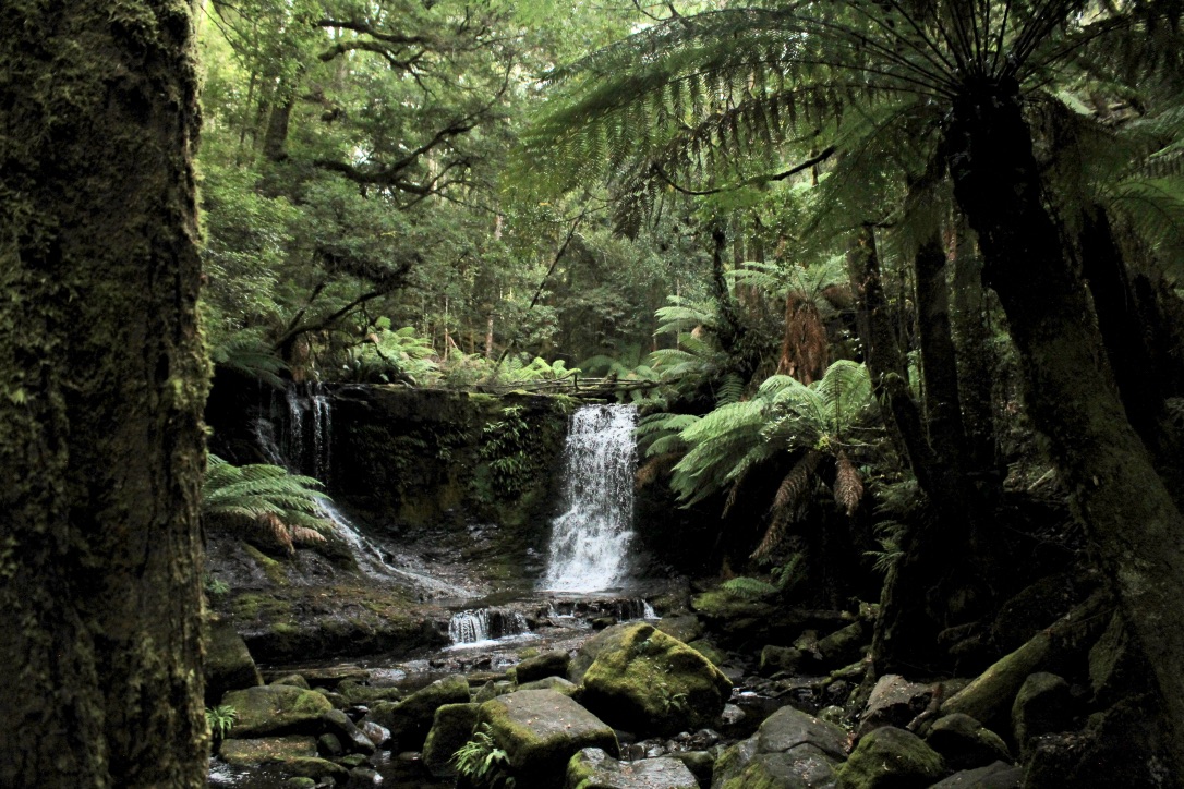 AIgS9QZZRCm+DNzALJGnmA_thumb_cc9