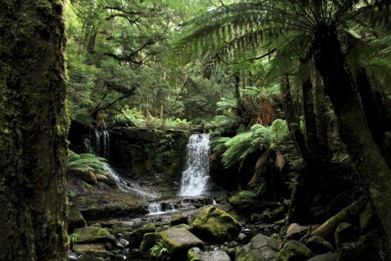 AIgS9QZZRCm+DNzALJGnmA_thumb_cc9