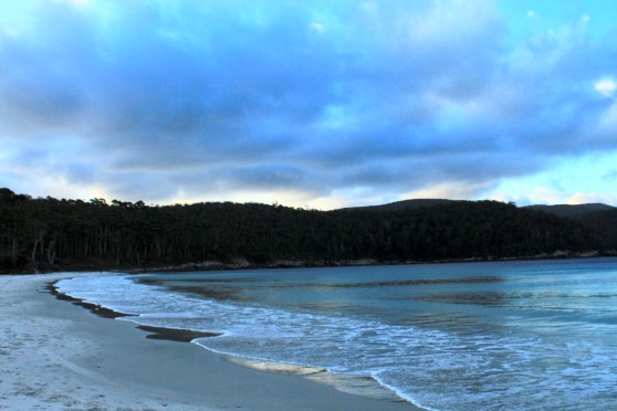 M+%aqpOYQXe2PWVhJQKTzw_thumb_dfd