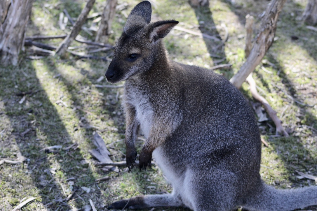 u1nXDz71Q9OIZHNi7gSwag_thumb_1094