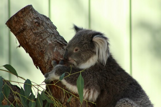 wYjugYotRmKnGGnNaBYYYQ_thumb_10f0